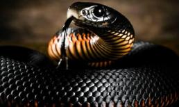 Chia buồn với 3 con giáp xui xẻo nhất tuần này (31/8-6/9): Vô cùng đen đủi, làm gì cũng gặp khó khăn