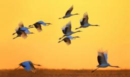 Sinh 6 ngày tốt có một không hai này! Sinh ra đã có số phú quý, vượng phu ích tử, về sau sẽ giàu có!