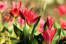 Nếu người sinh vào 3 'giờ' sau đây thì phúc khí tràn trề, cuộc sống hanh thông hơn!