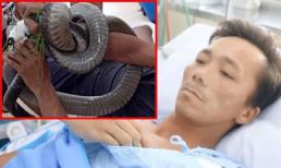 Hồi phục kỳ diệu, người đàn ông bị rắn hổ mang cắn sẽ xuất viện trong 2 tuần tới