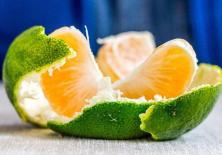 Đặt loại vật này trong phòng ngủ có thể gia tăng vận may! Nhiều người tiếc vì không biết sớm