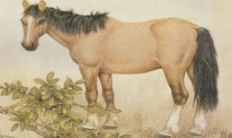 4 con giáp nam 'cả đời không bao giờ thiếu phụ nữ', lúc nào cũng khiến chị em 'say như điếu đổ'