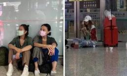 Châu Tấn và Triệu Vy bị gọi là hành khất vì hành động kém sang ở chốn công cộng 