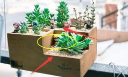 Nếu những tình huống này xảy ra tại nhà, đừng lo lắng! Nó cho biết trong nhà sẽ có quý nhân