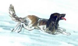 Tháng 8 âm lịch mọi việc suôn sẻ, 3 con giáp vượng phu ích tử