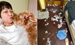 Đi làm về muộn, MC Thảo Vân vẫn trở thành 'con sen hì hụi' dọn phòng khiến chồng cũ cũng phải lên tiếng