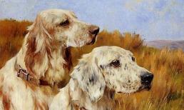 Những ngày cuối tháng 9: 3 con giáp may mắn đón lộc trời ban, tài vận thăng hoa rực rỡ