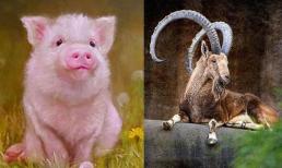 21 ngày tới, 3 con giáp được trời ban lộc, may mắn ngút ngàn, chỉ cần giơ tay là có tiền