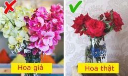 11 điểm trong nhà 'bóc mẽ' chủ nhân là người nghèo, dù thực tế có thể không phải là như vậy