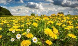 Trên thực tế, có hai thứ đàn ông có thể 'thu phục' trái tim phụ nữ hơn cả tiền bạc