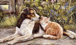 Tuần tới, top 3 con giáp vận may lội ngược dòng, cuộc sống khó khăn được cải thiện, tiền bạc rủng rỉnh, tài vận thăng hoa