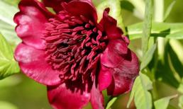 Sau tháng 10 năm 2020, bốn chòm sao chính này sẽ bắt đầu nếm trải vị ngọt