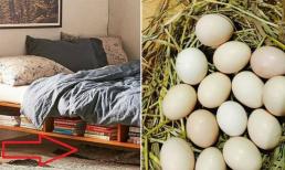 Tại sao mẹ chồng xưa thường dạy con dâu đặt trứng gà luộc dưới gần giường?