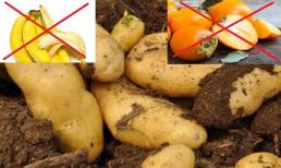 Khoai tây không nên ăn cùng lúc với những thứ này, nếu ăn phải cách nhau ít nhất 15 phút