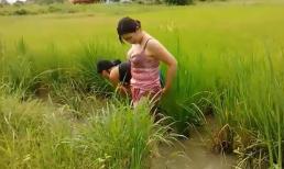 Xuống ruộng tắm rửa sau khi bắt cá, hành động sau đó của 2 cô gái khiến ai nấy 'nóng mắt'