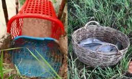 Mùa mưa, người đàn ông mang giỏ đựng đồ đặt trước miệng cống và thu về cái kết bất ngờ