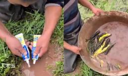 Nặn kem đánh răng vào vũng nước, người đàn ông bất ngờ có thu hoạch lớn chỉ sau ít phút