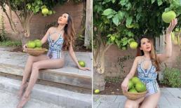 'Gái nhảy' Minh Thư khoe vườn nhà, nhưng bộ trang phục gợi cảm mặc khi hái bưởi mới gây chú ý