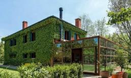 Một ngôi nhà có 3 dấu hiệu này phạm âm khí, gia chủ liên tục đau ốm làm gì cũng hao tài tán của