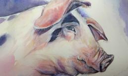 Cuối tuần vận xui đeo bám, 3 con giáp này dễ gặp họa thị phi, rơi vào cảnh túng thiếu