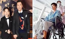 Số phận trái ngược của 2 con trai Chân Tử Đan: Người được tậu đàn piano giá hàng tỷ đồng, kẻ lại bị bỏ rơi lúc bệnh hoạn