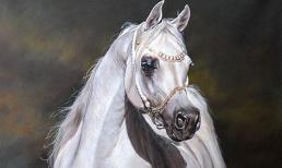 3 nàng giáp là con cưng của Thần tài, bước vào nhà nào thì mang hào quang phú quý đến cho gia đình đó