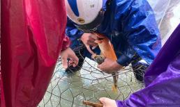 Phố xá ngập trong biển nước, người dân TP Hà Tĩnh mang bu gà ra đường bắt cá