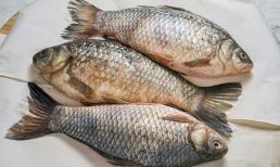 Không mua 5 loại cá cho con ăn, không những phí tiền mà còn ảnh hưởng đến sức khỏe dinh dưỡng