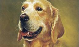 Tuần tới, top 3 con giáp may mắn cực đỉnh, tiền bạc rủng rỉnh, tài vận thăng hoa