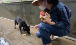 Công Vinh hé lộ khoảnh khắc dễ thương của Thủy Tiên trong lúc đi cứu trợ miền Trung khiến ai cũng xuýt xoa