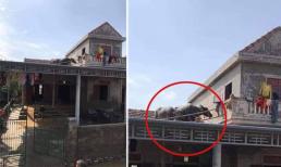 Lũ về khiến đàn trâu bơi lên mái nhà, giờ nước nút, chủ nhà không biết cách nào đưa chúng xuống?