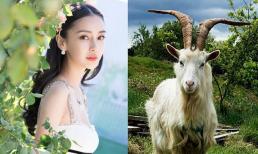 Càng sống lâu, con giáp này càng xinh đẹp, quyến rũ, hậu vận giàu sang, tấn tài tấn lộc