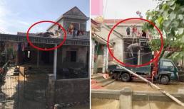 Tình hình 2 chú trâu trên mái nhà sau lũ: Đã được đưa xuống nhờ pha giải cứu hết sức 'cồng kềnh'