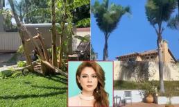 Vườn nhà Thanh Thảo ở Mỹ tan hoang do bị ảnh hưởng bởi gió lớn và cháy rừng 