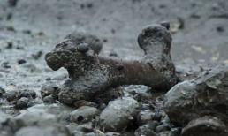 Anh cấm khách du lịch đến 'đảo người chết'