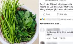 Nam sinh sao bán mớ rau muống 'trụi thùi lụi' giá 3k khách vẫn vào chốt đơn ầm ầm, nguyên nhân vì lý do siêu lầy