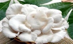 Người có thể trường thọ, thường xuyên ăn 3 loại rau này, điều hòa đường ruột và dạ dày, giảm huyết áp và mỡ máu, có nhiều lợi ích