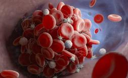 Bạn có thể sống lâu hơn bằng cách đi bộ? Xin nhắc lại: Sau 50 tuổi, thực hiện 3 điều này còn quan trọng hơn cả tập thể dục