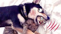 Tại sao chó và mèo lại ghét nhau? Câu trả lời là đây