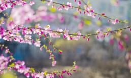 Những người sinh vào ngày, tháng nào âm lịch sẽ có phúc khí dồi dào, cả đời sẽ sung túc, giàu sang?