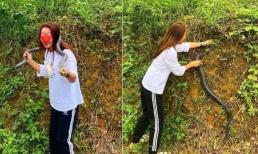 Cô gái dùng tay không bắt rắn hổ mang đem về cho bố ngâm rượu, dân mạng kinh hãi vì 'đùa với tử thần'