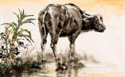 Năm 2021 tuổi Sửu sinh vào tháng nào thì giàu sang phú quý?