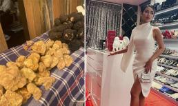 Em chồng Hà Tăng - Tiên Nguyễn gây choáng khi ăn bữa tối với loại nấm đắt nhất thế giới