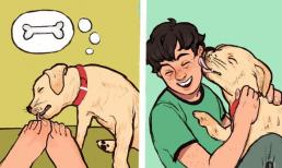 Lý do đằng sau việc chó cưng thường liếm vào mặt và chân của chủ nhân, ít người biết