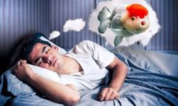 Giải mã 4 giấc mơ về cá dự báo vận may ghé thăm, chuẩn bị tinh thần đón tin vui liên tiếp