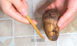 Hóa ra việc gọt vỏ khoai môn chỉ đơn giản bằng một chiếc đũa! Thật tiện lợi và nhanh chóng