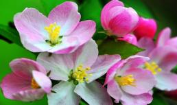 Bắt đầu từ tháng 12, 4 cung hoàng đạo đón vận may, sao lành chiếu mệnh, giàu sang liên miên, niềm vui nối tiếp