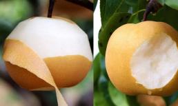 Quả gì chín vào mùa thu? Những điều kiêng kỵ khi ăn hoa quả vào mùa thu là gì?