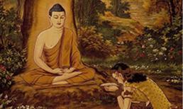 Câu nói 'Nam Mô A Di Đà' của Phật tử có nghĩa là gì? Sau khi đọc nhiều người mới biết mình đang nói gì?