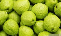 mùa thu, mỗi ngày ăn một quả này tốt hơn 10 quả táo, thanh lọc độc tố trong cơ thể, hạ mỡ máu và giúp giảm cân